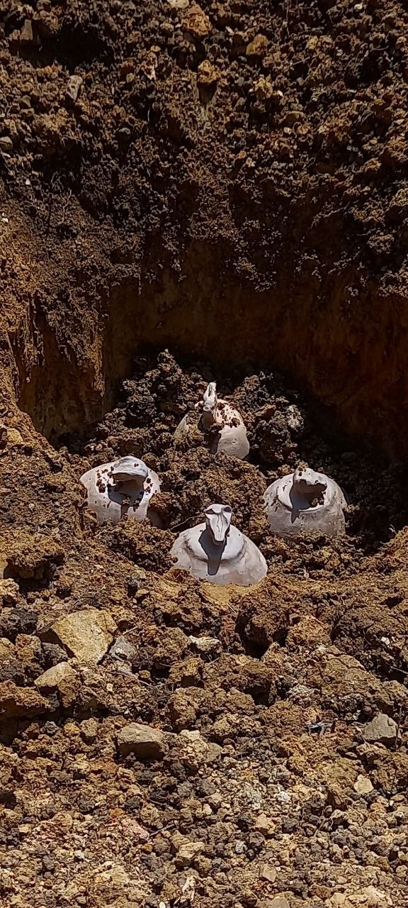 Founding of the Lotus Stupa